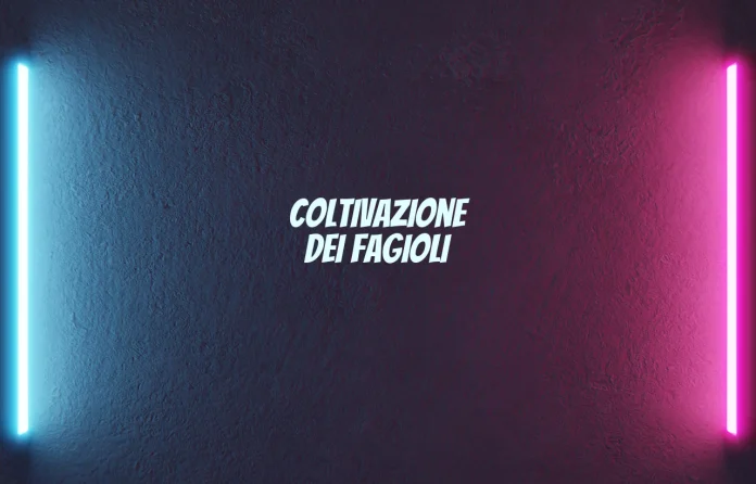 Coltivazione dei fagioli