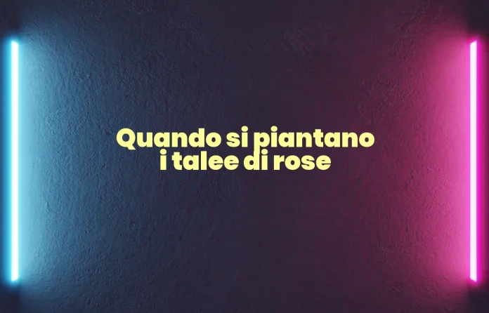 Quando si piantano i talee di rose