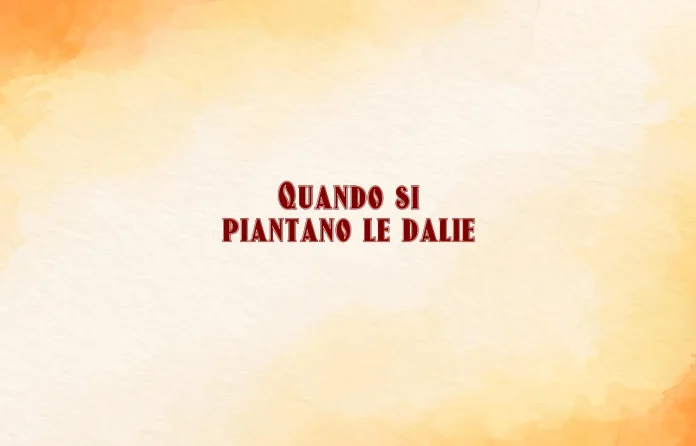 Quando si piantano le dalie