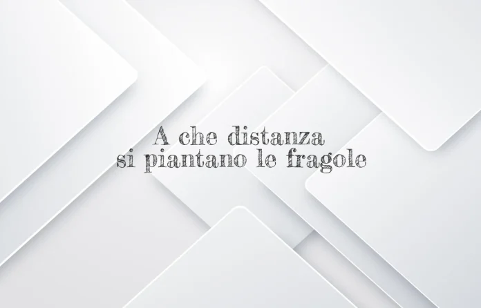 A quale distanza si piantano le fragole