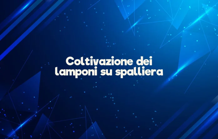 Coltivazione dei lamponi su spalliera