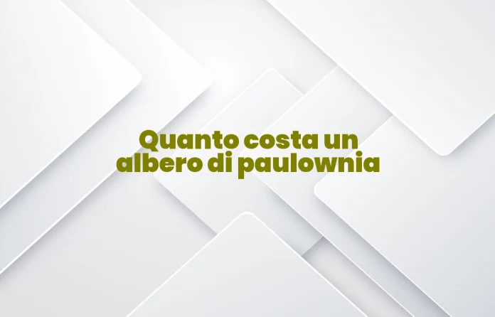 Quanto costa un albero di Paulownia