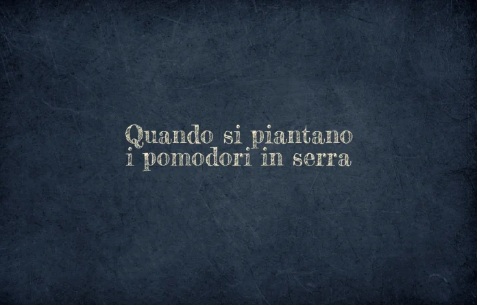 Quando si piantano i pomodori in serra
