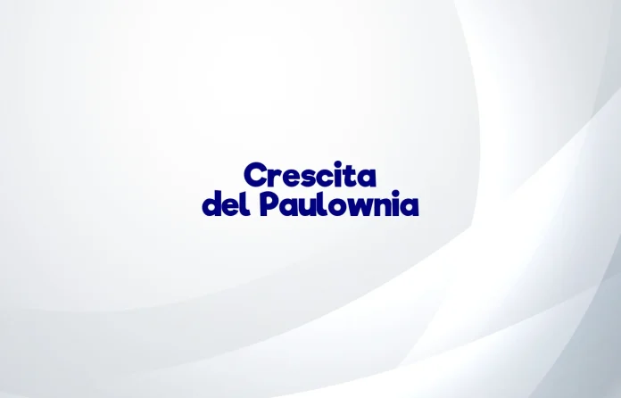 Crescita del Paulownia