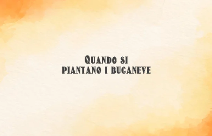 Quando si piantano i bucaneve