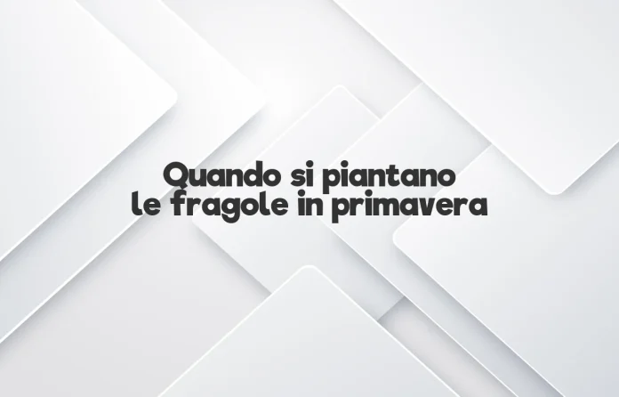 Quando si piantano le fragole in primavera