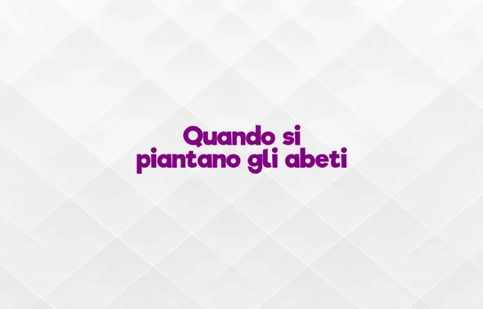Quando si piantano gli abeti