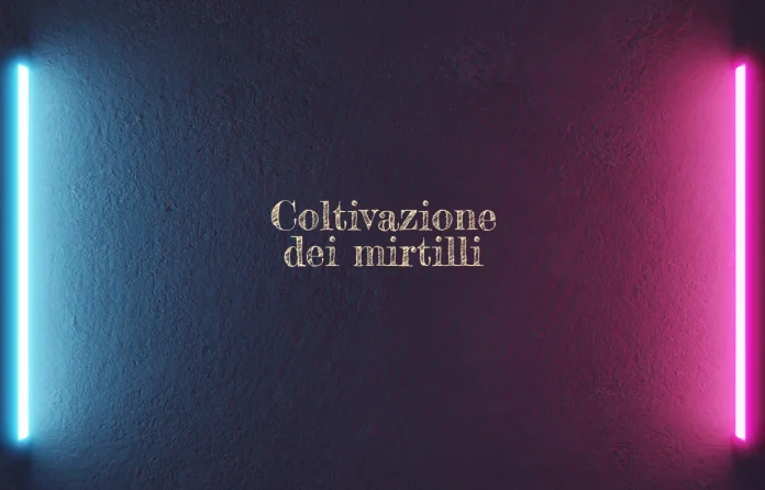 Coltivazione dei mirtilli