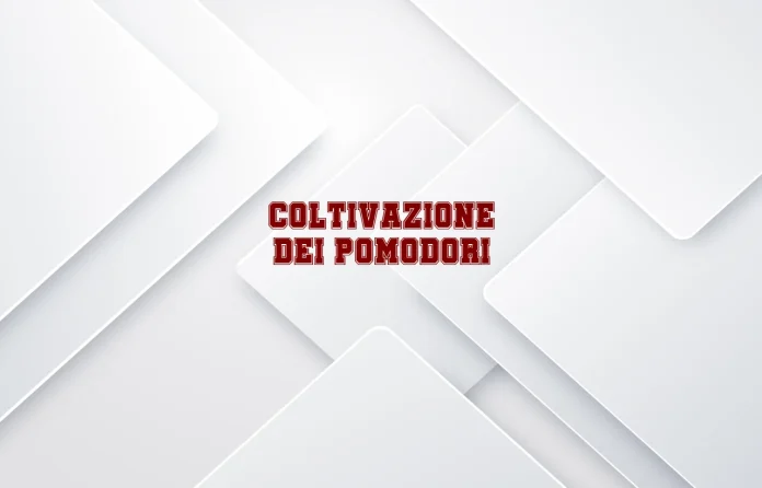 Coltivazione dei pomodori