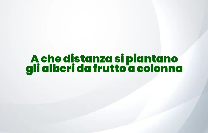 A quale distanza si piantano gli alberi da frutto colonnari