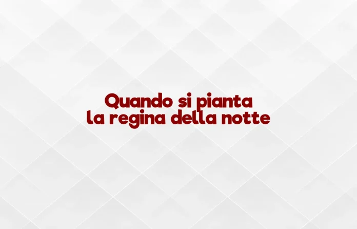 Quando si pianta la regina della notte