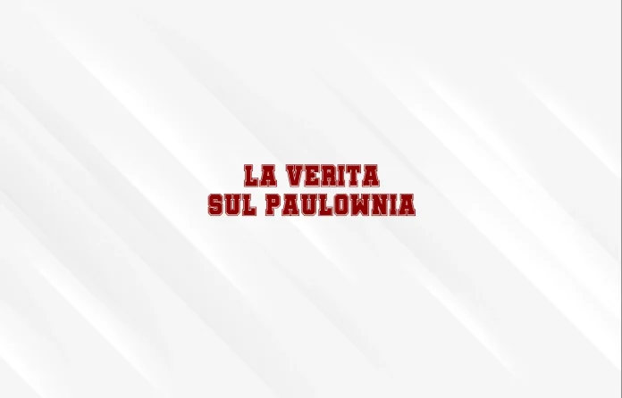 La veritÃ  su Paulownia