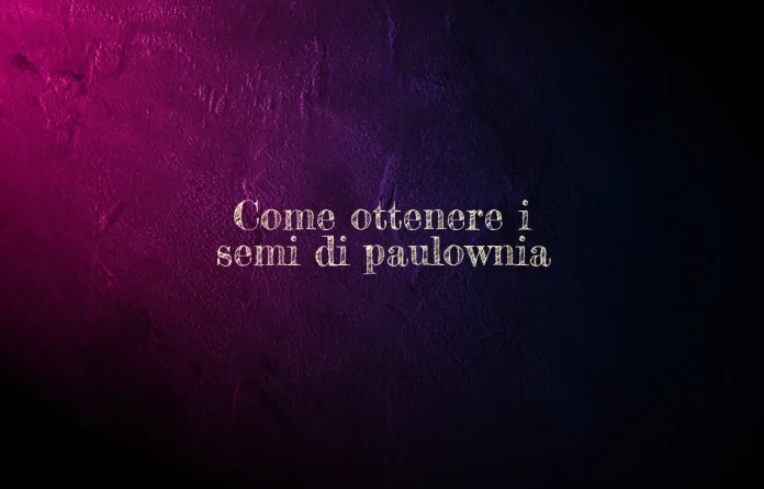 Semi di Paulownia