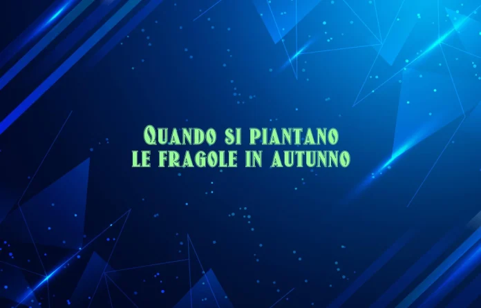 Quando si piantano le fragole in autunno