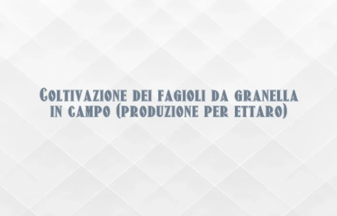 Coltivazione dei fagioli a pieno campo resa per ettaro