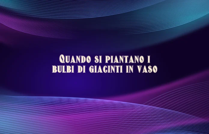 Quando si piantano i bulbi di giacinti in vaso