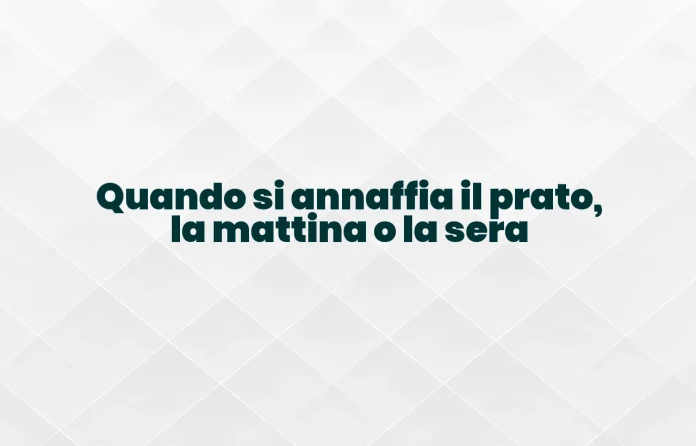 Quando si annaffia il prato: mattina o sera