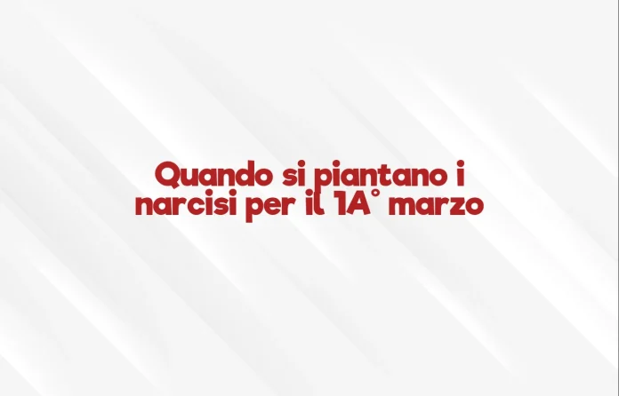 Quando si piantano i giacinti per il 1Â° marzo