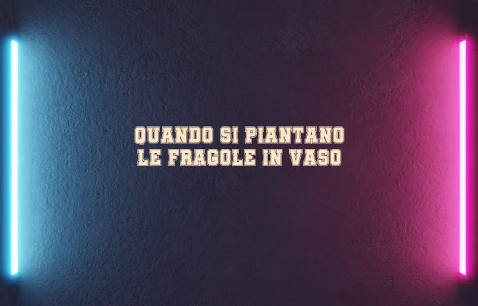 Quando si piantano le fragole in vaso