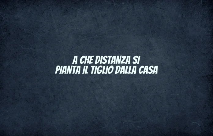 A quale distanza si pianta il tiglio da giardino