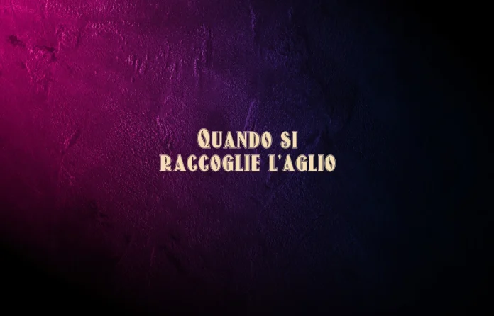 Quando si raccoglie lâ€™aglio