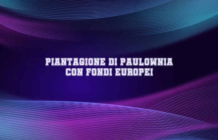 Piantagione di Paulownia con fondi europei