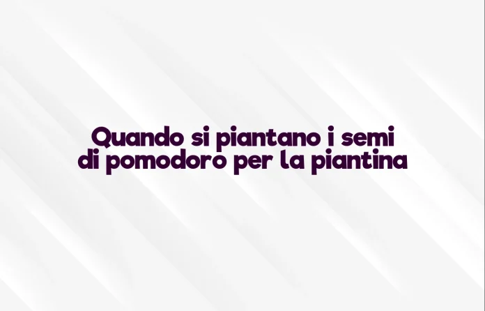 Quando si piantano i semi di pomodoro per le piantine