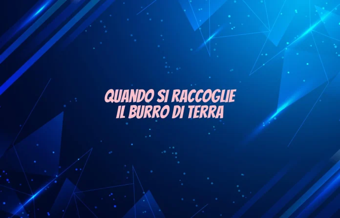 Quando si raccoglie il burro di terra