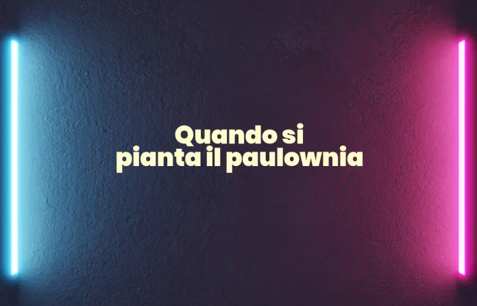 Quando si pianta il Paulownia