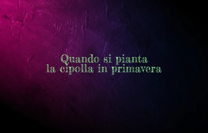 Quando si pianta la cipolla in primavera