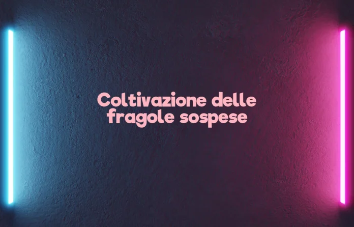 Coltivazione sospesa delle fragole