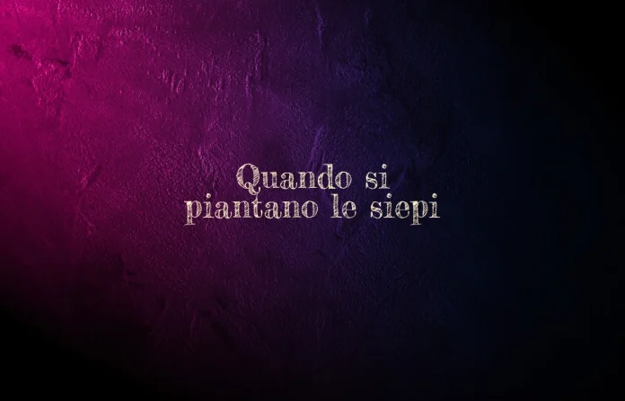Quando si pianta la siepe