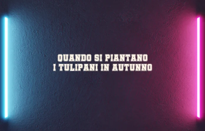 Quando si piantano i tulipani in autunno