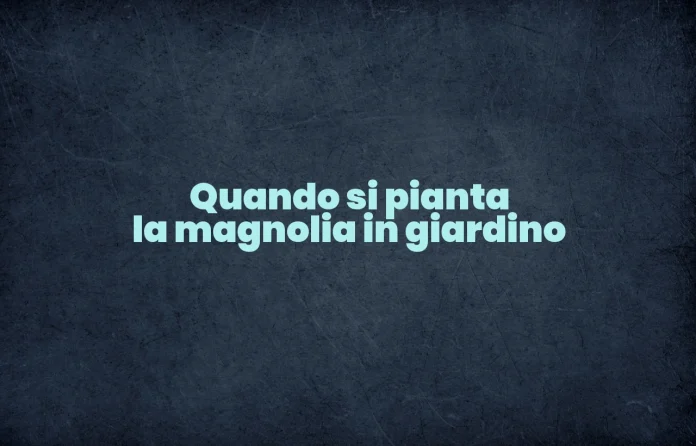 Quando si pianta la magnolia nellâ€™orto