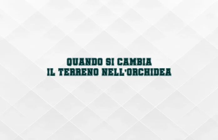 Quando si cambia il terriccio alle orchidee