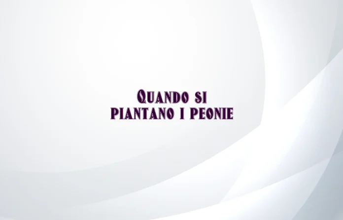 Quando si piantano i peonie