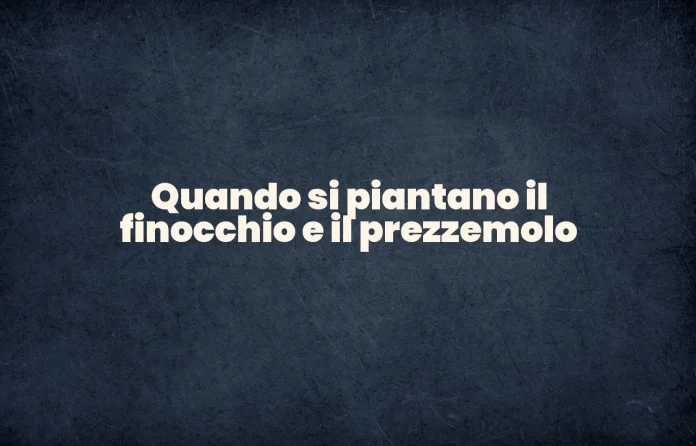 Quando si piantano l'aneto e il prezzemolo