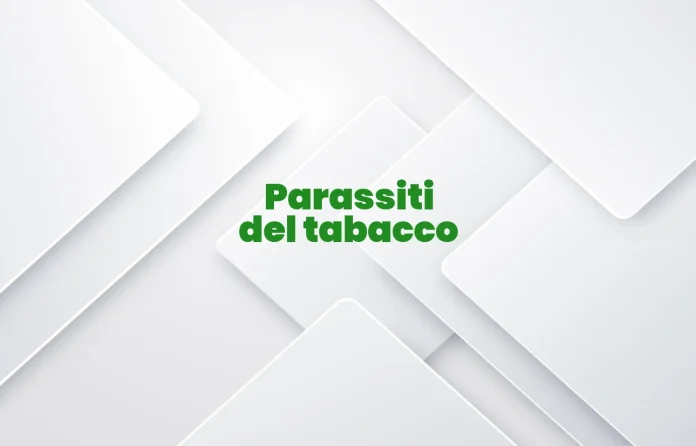 Parassiti del tabacco