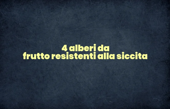 Alberi da frutto resistenti alla siccitÃ 