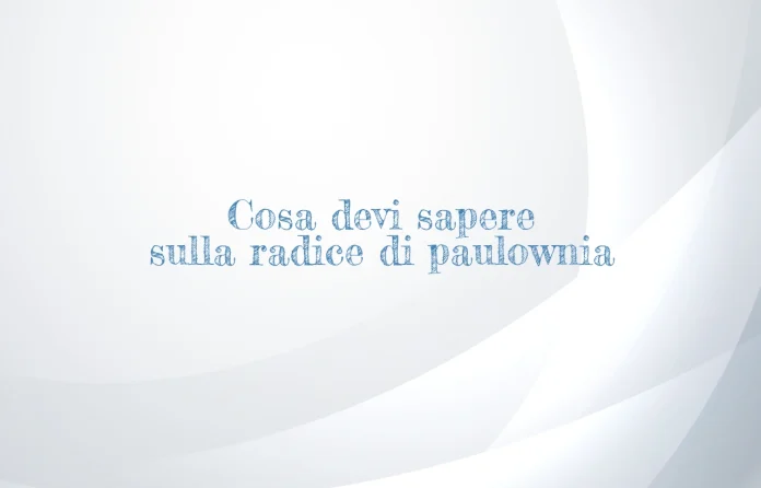 Radice di Paulownia