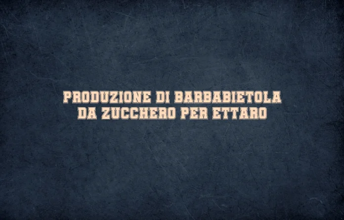 Produzione di barbabietola da zucchero per ettaro