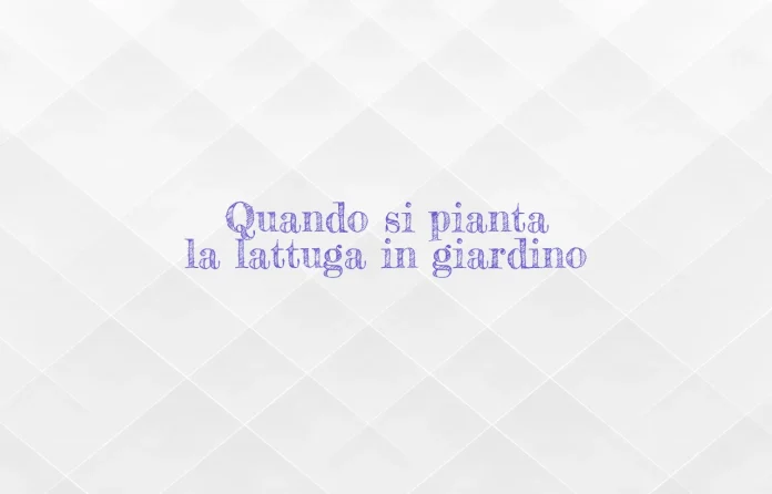 Quando si pianta la lattuga verde nellâ€™orto