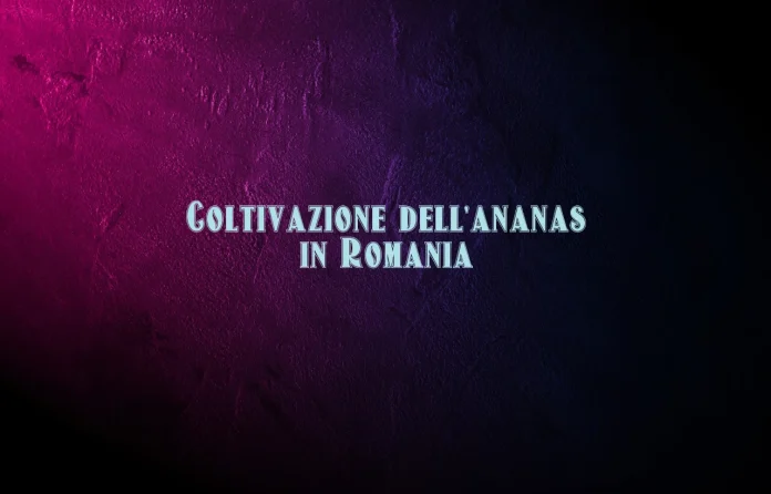 Coltivazione dellâ€™ananas in Romania