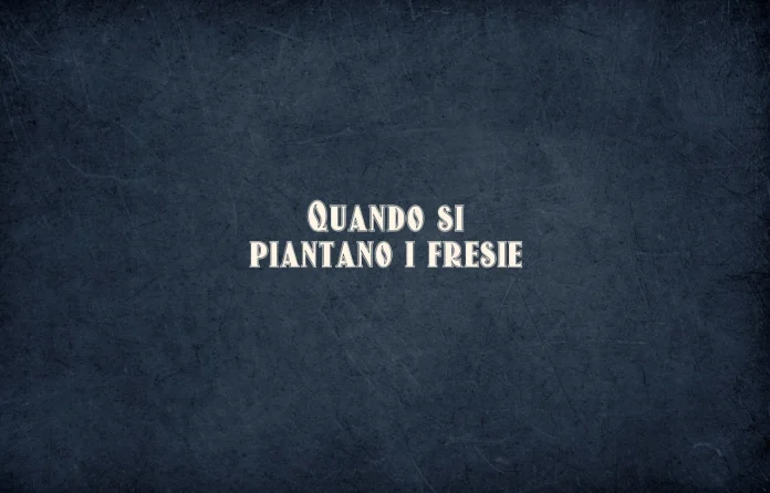 Quando si piantano i fresie