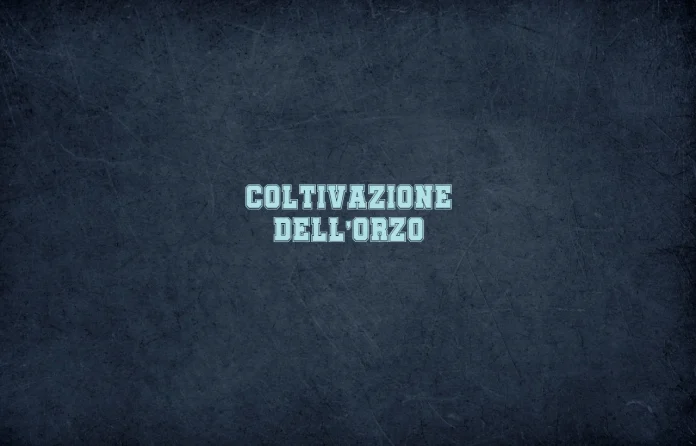 Coltivazione dellâ€™orzo